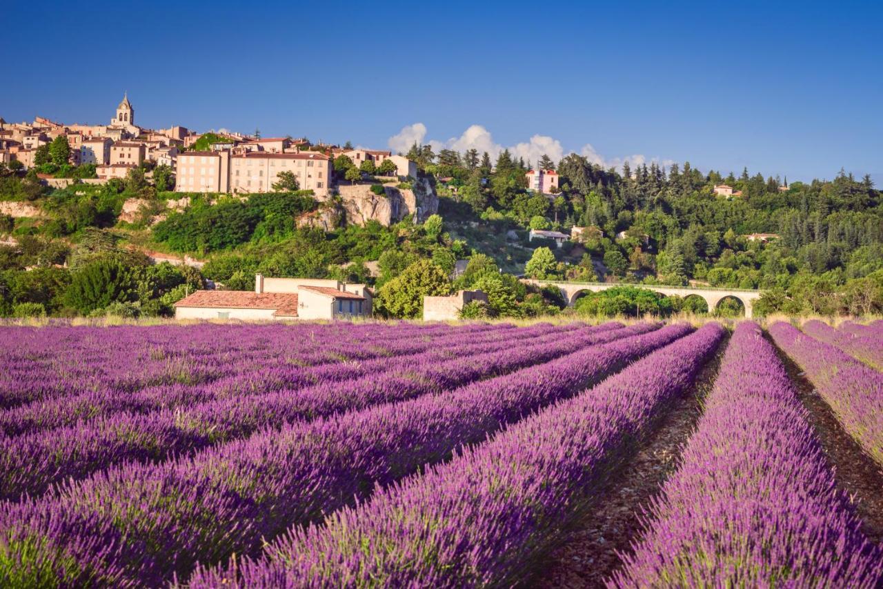 Provence Now Apartment Cabrieres-d'Avignon Exterior photo